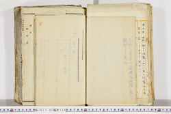 明い017011390009.jpg
