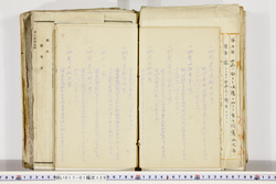明い017011390010.jpg