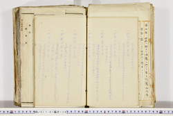 明い017011390011.jpg