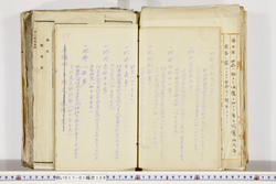 明い017011390012.jpg