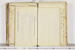 明い017011390013.jpg