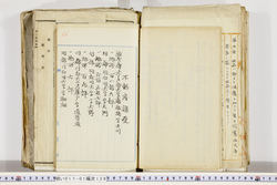 明い017011390016.jpg