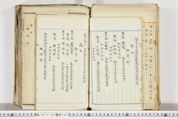 明い017011410002.jpg