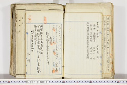 明い017011410003.jpg