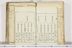 明い017011480002.jpg