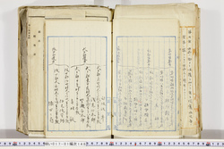 明い017011480004.jpg