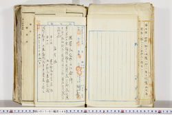 明い017011490002.jpg