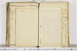 明い017011660005.jpg