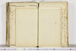 明い017011660006.jpg
