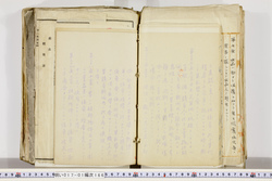 明い017011660010.jpg