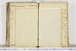 明い017011660011.jpg