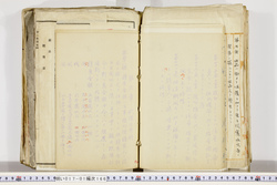 明い017011660012.jpg