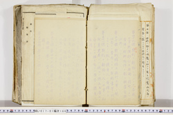 明い017011660013.jpg