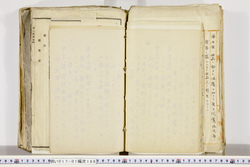 明い017011660014.jpg