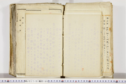 明い017011660015.jpg