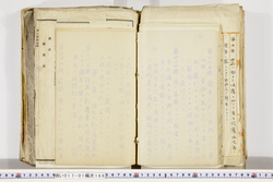 明い017011660016.jpg