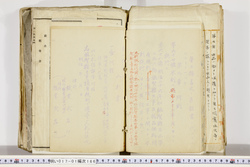 明い017011660017.jpg