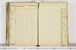明い017011660018.jpg