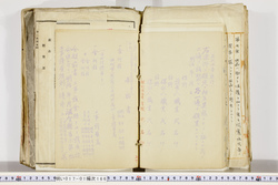明い017011660019.jpg
