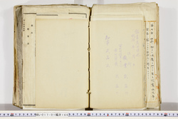 明い017011660020.jpg