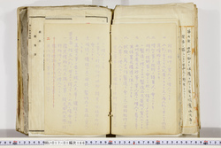 明い017011660023.jpg