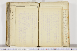 明い017011660024.jpg
