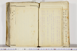 明い017011660025.jpg