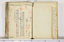 明い017011660026.jpg