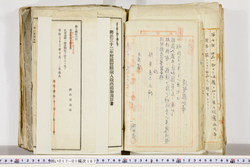 明い017011670002.jpg