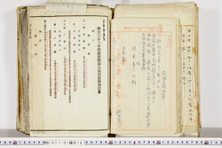 明い017011670003.jpg