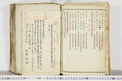 明い017011670004.jpg