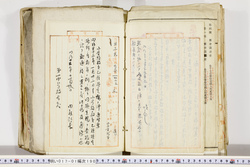 明い017011900003.jpg