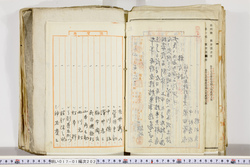 明い017012020002.jpg