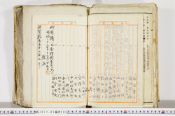 明い017012020003.jpg