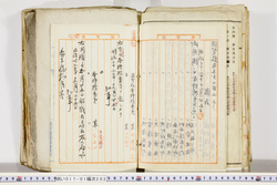 明い017012020004.jpg