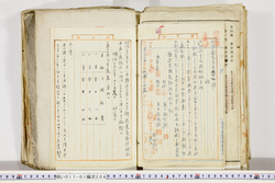 明い017012040002.jpg