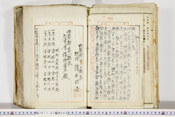 明い017012040005.jpg
