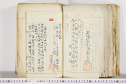 明い017020010003.jpg