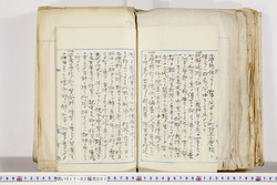明い017020010004.jpg