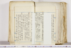 明い017020010007.jpg