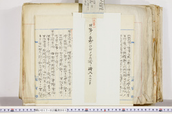 明い017020010008.jpg