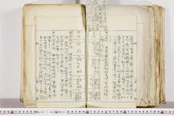 明い017020010009.jpg