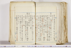 明い017020010010.jpg