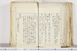 明い017020010012.jpg