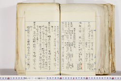 明い017020010013.jpg