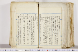 明い017020010014.jpg