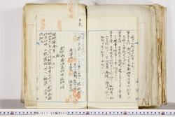 明い017020020002.jpg