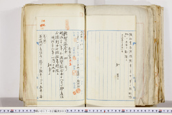 明い017020030002.jpg