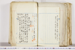 明い017020040002.jpg