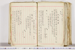 明い017020050004.jpg